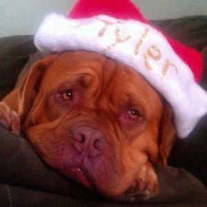 Meet your Posher, Tyler